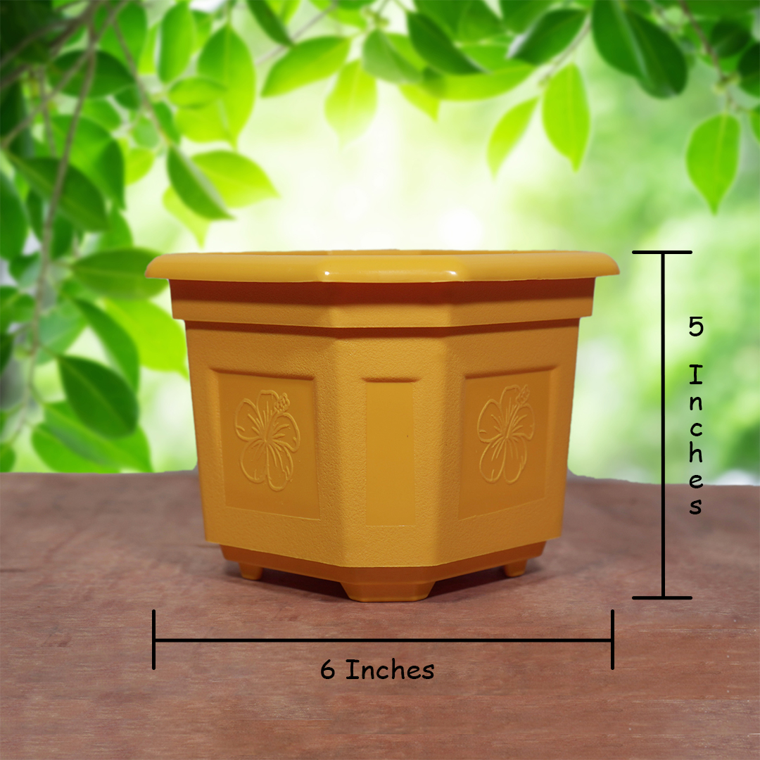 6 OCTA POT Any COLORS (Pieces: 5)