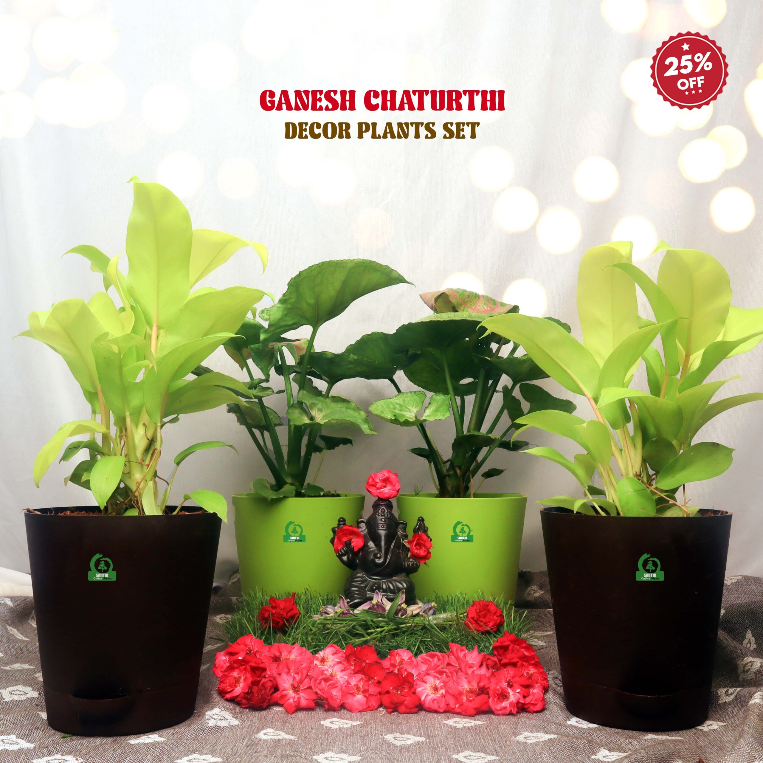 Festive Decor Plants Set