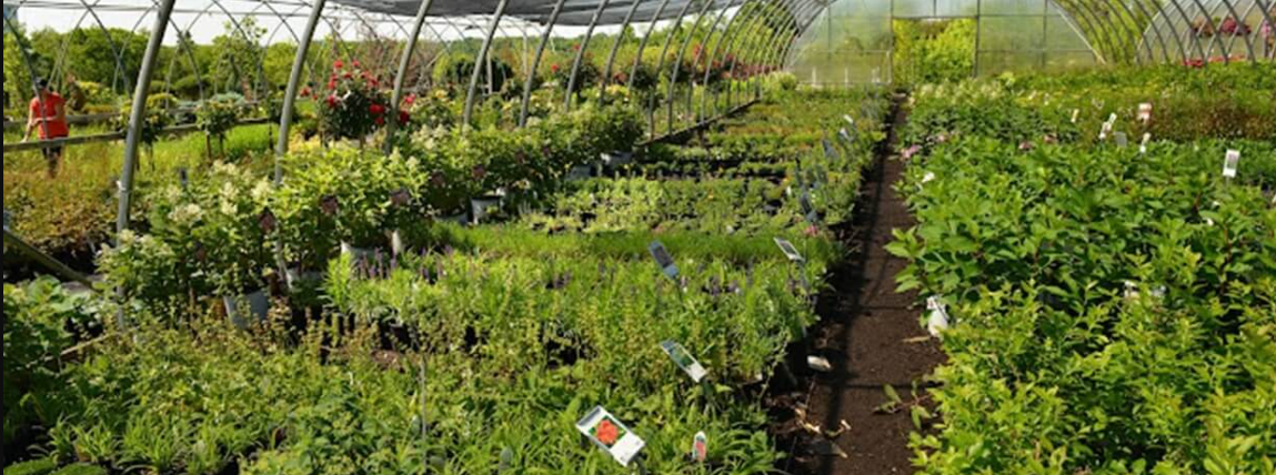 Pooja Enterprise Online Store promo